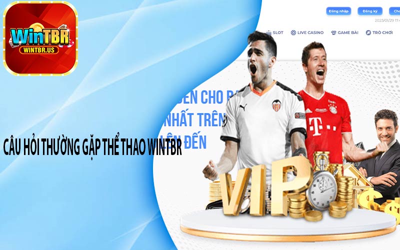 Câu hỏi thường gặp thể thao Wintbr