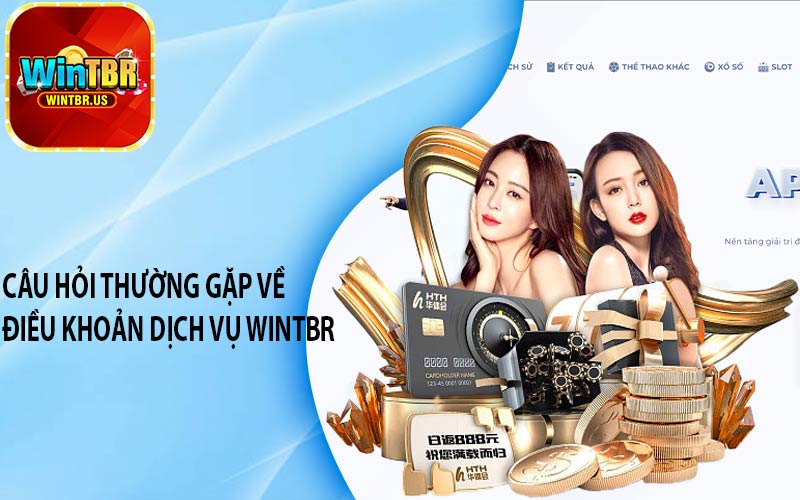 Câu hỏi thường gặp về Điều khoản dịch vụ Wintbr