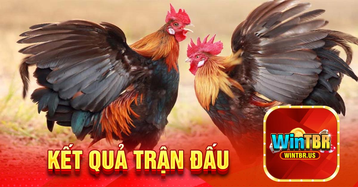 Kết quả trận đấu