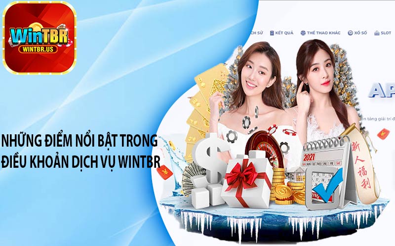 Những điểm nổi bật trong Điều khoản dịch vụ Wintbr