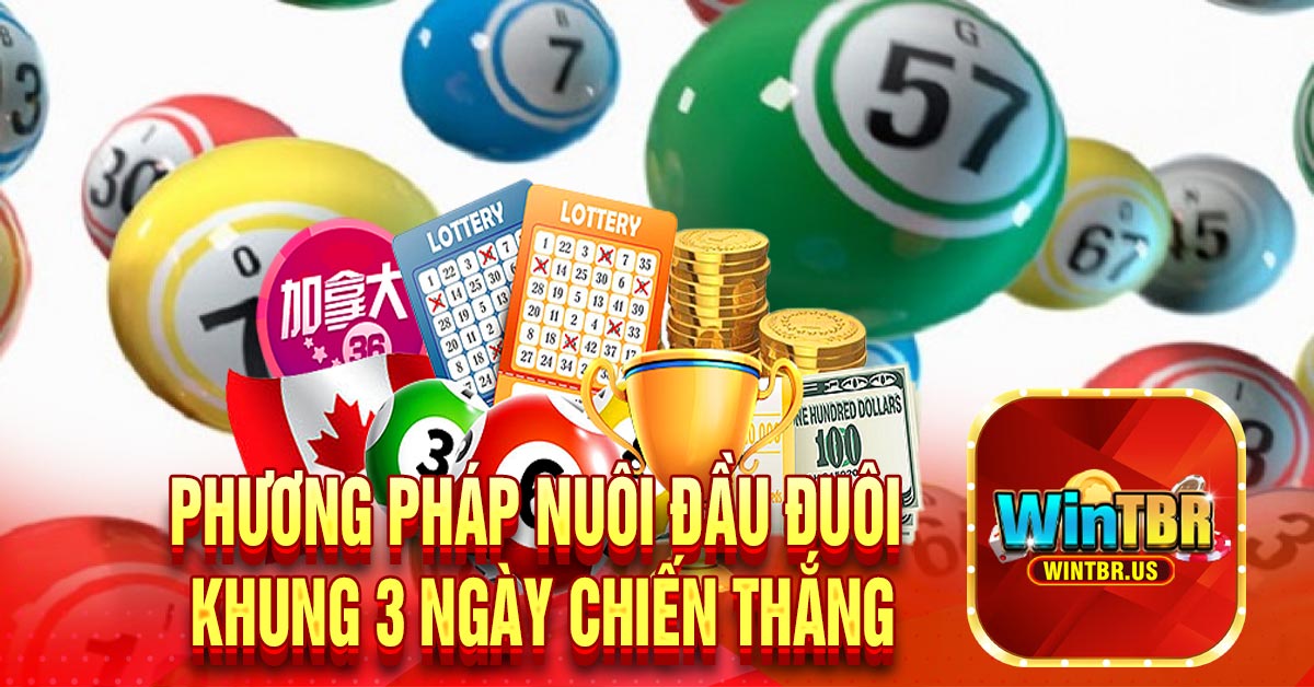 Phương pháp nuôi đầu đuôi khung 3 ngày chiến thắng