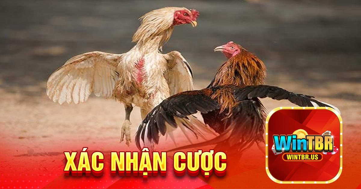 Xác nhận cược