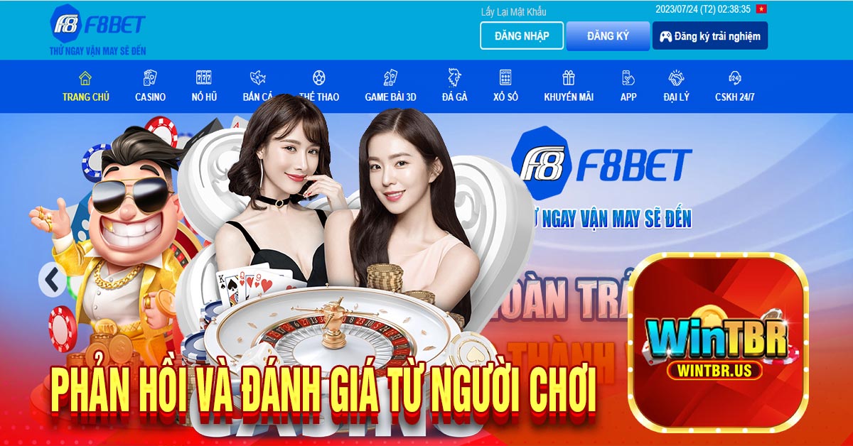 Phản hồi và đánh giá từ người chơi