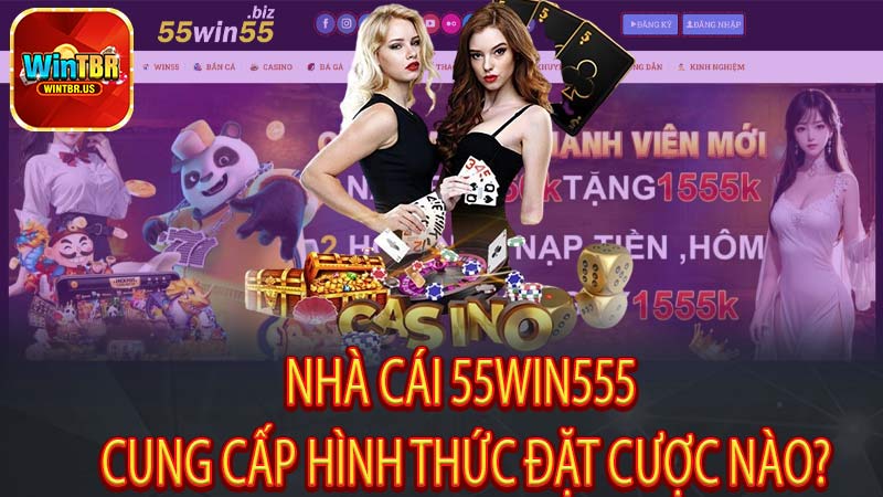 Nhà Cái 55win555 Cung Cấp Hình Thức Đặt Cược Nào?