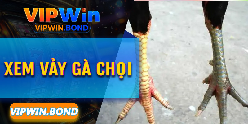 Những loại vảy "sát thủ" khiến đối thủ khiếp sợ trên sàn đấu